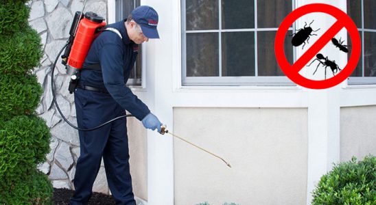 Oğuzlar Kemirgen İlaçlama böcek ilaçlama ve haşere kontrolü — ilaclama-tr.com